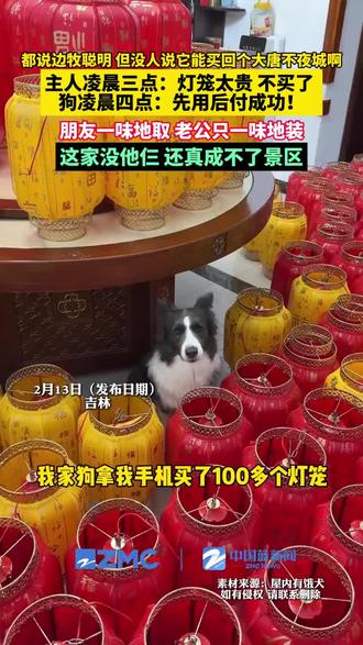 主人嫌300块的灯笼贵没舍得买,边牧凌晨替她下单5000+。还附赠一个埋头苦干的老公和一个只管收货的朋友。家里直接变成大唐不夜城。#秒变 #大唐不夜城 #小米家电红黑榜 #创作者中心 #感谢抖音感谢抖音平台