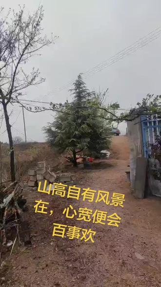 山高自有风景在:比喻人生如同登山,无论身处何种困境,只要坚持前行或放长眼光,终能发现美好与希望,不被眼前困难局限 。
心宽便会百事从欢:强调心态的重要性,心胸宽广、宽容豁达能化解烦恼与矛盾,让万事顺遂,内心获得愉悦与宁静 。
