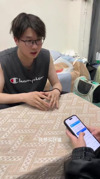 猫舍豆包大战#绵阳买猫 #豆包 #猫 #矮脚猫