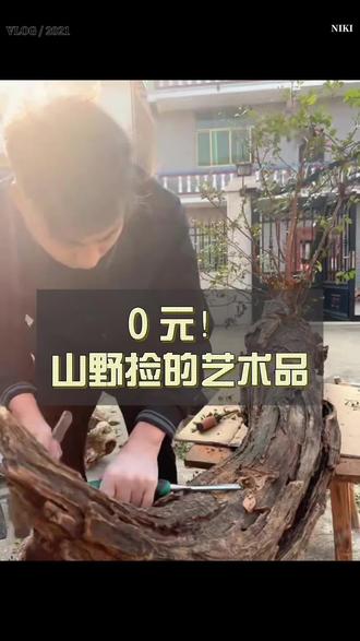 顺路捡的烂木头,配上山里的苔藓,直接变身发光艺术品~#手工制作 #盆景艺术 #艺树氛围灯 #送礼佳品 #盆景摆件