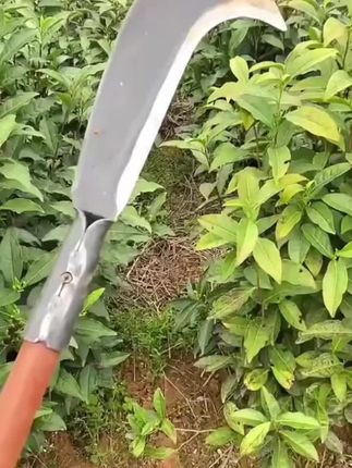 高锰钢砍柴刀#砍柴刀 #户外弯刀 #砍柴刀户外锰钢