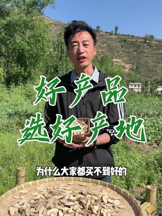 为什么买不到好货?#原产地直发 #岷县特产 #甘肃农产品 #农产品