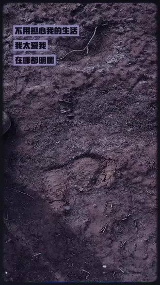 不用担心我的生活 我太爱我 在哪里都明媚