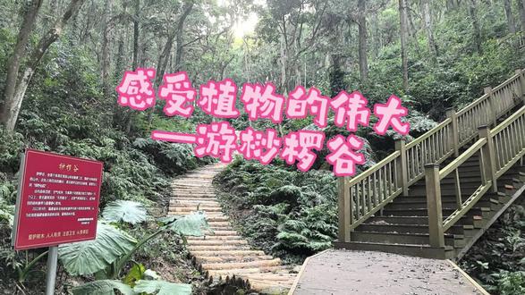 惠安笔架山—玄奘寺—桫椤谷#登上山顶看美景心随景动 #猜猜这是哪里的风景