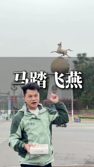 这个标志你们知道搬了几次家吗?#马年大吉 #马踏飞燕 #泸州