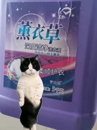 薰衣草洗衣液#好物推荐分享 #香氛洗衣液 #好产品一起分享