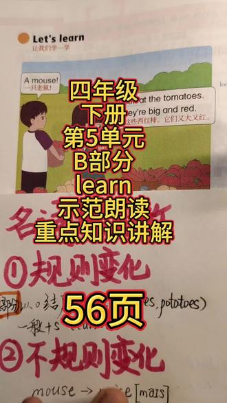 四年级下册第5单元B部分let's learn示范朗读加重点句型讲解。#四年级英语下册 #小学英语语法讲解 #名词变复数规则变化 #英语学习干货分享 #小学生英语辅导