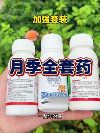 月季养护全套药杀菌杀虫红蜘蛛杀螨剂新手套装#月季养护 #月季病虫害防治 #月季红蜘蛛 #真菌病 #蓟马