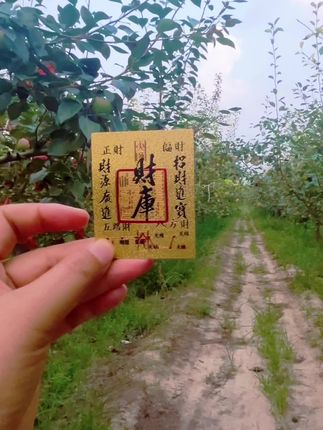 拥有它是最幸运的时刻#强烈推荐 #诸事顺利 #手机财库贴