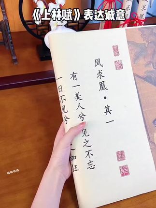#创作灵感 千古情诗非他莫属“愿得一人心,白首不相离”#凤求凰 #写字是一种生活 #习字修身 #一起学书法