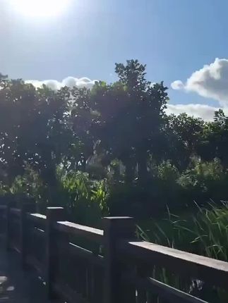 地板清洁剂##@#地板清洁剂@#@唐三妹(阿奎老婆)
