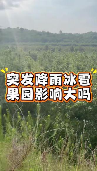 今年一定要注意极端天气!#果树管理及病虫害防治 #果农应对冰雹方法 #果农应对灾害方法 #果树种植经验分享