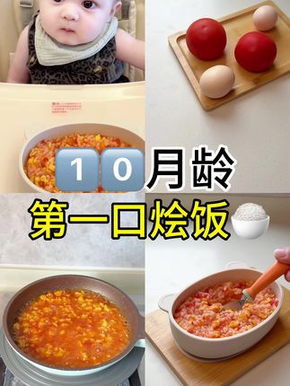 十月龄宝宝的第一口烩饭 还得是国民版番茄鸡蛋烩饭 酸甜可口 营养软烂 宝宝一口接一口#宝宝辅食 #辅食教程 #辅食 #烩饭 #十月龄