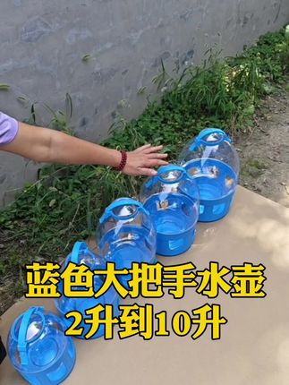 蓝色大把手透明水壶