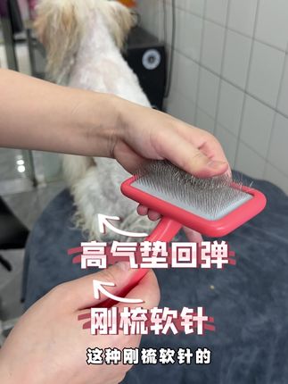 养宠家庭必备开结拉毛针梳,高效给宠物梳毛开结。#宠物 #宠物梳子 #新手养宠 #狗狗 #养宠进阶指南