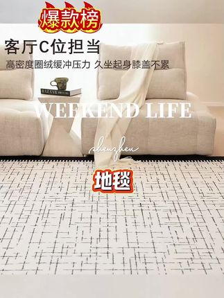 棉布防滑底地毯客厅加厚防水圈绒耐脏轻奢沙发地垫子#地垫#垫子#地毯#轻奢#耐脏