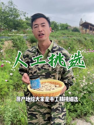 人工精挑细选#原产地 #原产地直发 #甘肃特产 #岷县特产