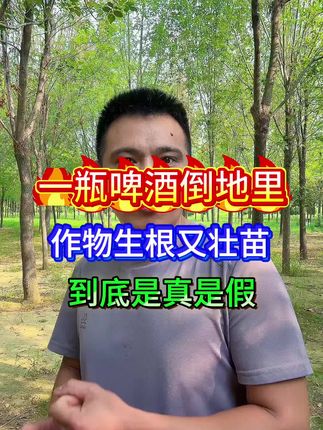 #蔬菜种植#农业种植#生根#生根壮苗#生根剂