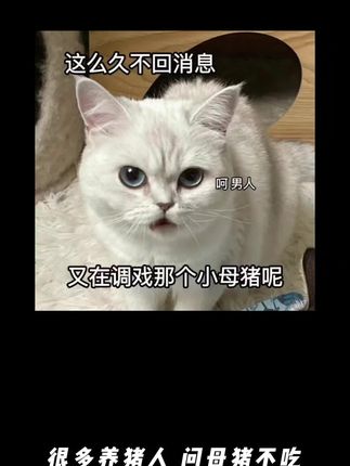 #养猪人加油干 #母猪不吃 #养猪人 #自用推荐 #好物推荐🔥 养猪的平凡人自用推荐,超高复购率好物分享,联磺甲