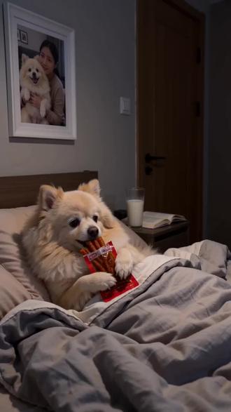 #AI小狗偷吃藏食记 #随变ai随便玩