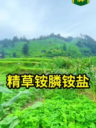 #上热门 #创作灵感上热门#精草铵膦铵盐~农业种植#农资肥料 ~厂家直发品质保证#源头好货