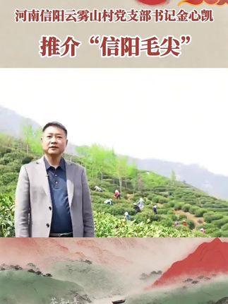 #我为家乡农产品代言 #十大名茶 #信阳毛尖 #绿茶 #好喝不贵