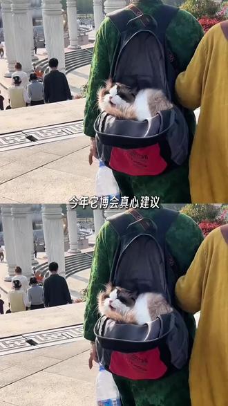 2026它博会避坑指南 #它博会 #它博会上海 #养宠人 #鲜朗 #猫咪
