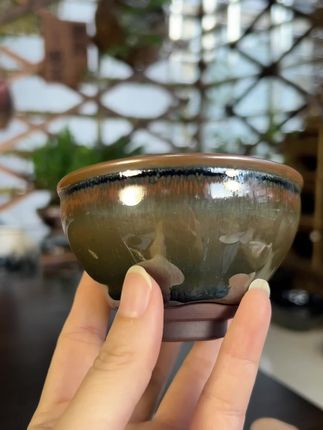 【贵稀堂】龙窑柴烧#茶生活 #非遗文化 #茶器之美 #传统技艺 #工匠精神