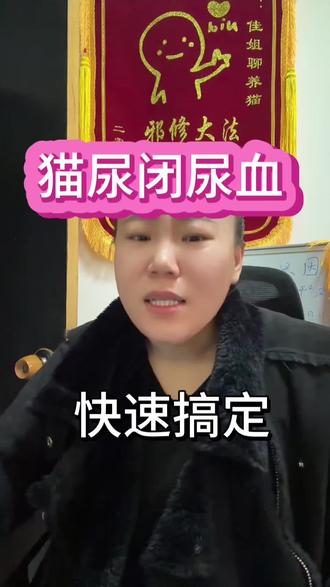 猫尿血了,快速搞定 哪有那么麻烦 #尿闭的猫咪 #猫尿闭 #铲屎官 #新手养猫 #养猫经验分享