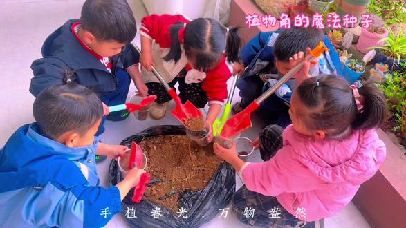 小小园丁上线啦
放大镜观察大树🔍
植物角撒花籽浇水💧
透明杯创意作画🎨
种下土豆、葱、大蒜、绿豆、黄豆……宝贝们分工合作,一起播种绿色,静待发芽🌱☺️