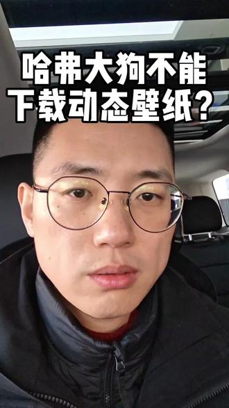 哈弗大狗咋下动态壁纸?#汽车知识科普 #哈弗大狗plus