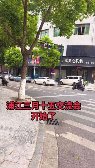 2026浦江县“三月十五”传统交流会开始了!
时间:5月1日至5日
地址:浦南街道,文溪社区,丰安路