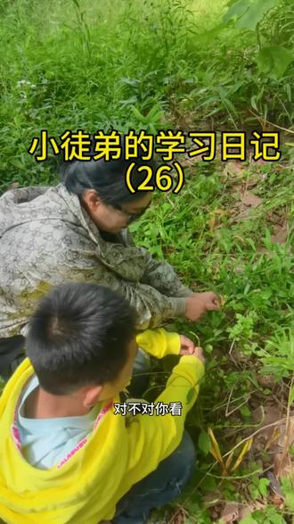 小徒弟的学习日记#中医传承#