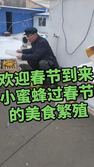 欢迎春节的到来小蜜蜂喜欢的美食繁殖