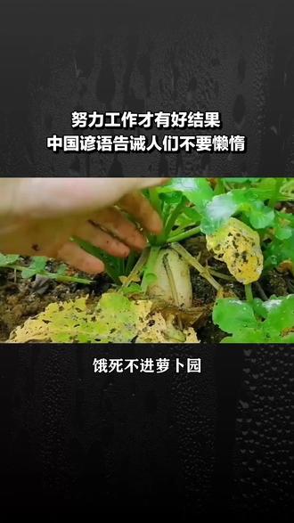 饿死不进萝卜园,穷死不耕丈人田! #民俗文化 #寓言故事