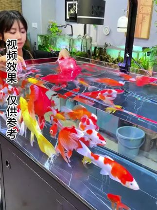 #养鱼日记 #水族 #清澜澳 #亚甲基蓝