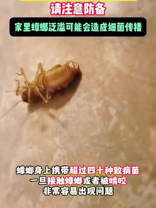 饭店、厨房免不了各种苍蝇、蟑螂等,用上这个,就可以帮您轻松解决!