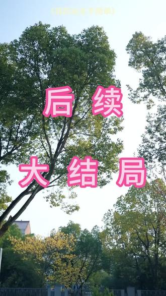 #短剧推荐#我的业主不简单