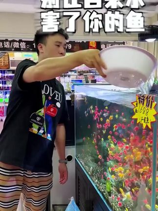 到底是谁还在用刮藻刀除藻啊,刮藻刀除藻不除根,一天不刮,就又长出来了#水族用品 #净水片 #鱼缸水质净化