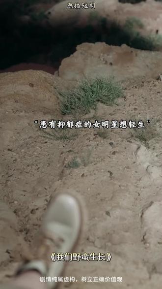 2025年火爆的短剧,你还没有看过吗?