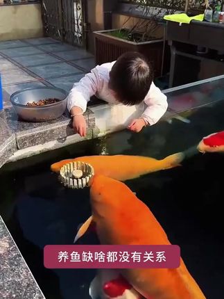 #新手养鱼 #亚甲基蓝 #鱼缸里的大自然