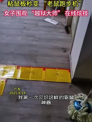 要是用了这个驱鼠器,7天内还有老鼠,我直接把老鼠吃了#断弥#超声波驱鼠器#驱鼠神器#老鼠克星#一窝端#断弥