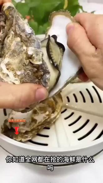 海鲜-生蚝-乳山生蚝中蚝2-2.5两(5斤装约18-24个)