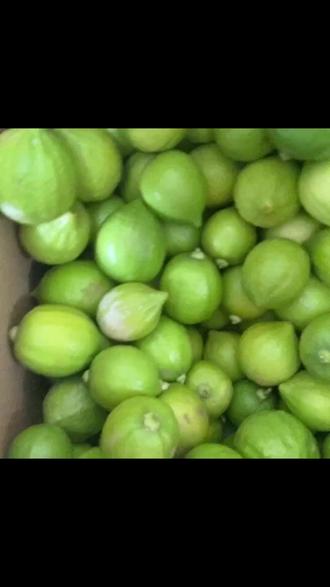 竹料大道东邻里手打柠檬茶放大招,五款奶茶 9.9 带走,冷热随心配,堂食外带都可,冲! (【退款规则】到店核销:随时可退,过期未核销自动退)#好喝不贵 #奶茶门店招牌 #手工酸奶 #茶香咖啡 #奶昔