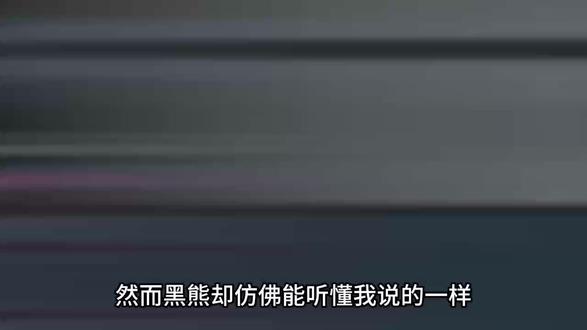 熊口求生第三集 #简笔画 #简笔画原创 #动画