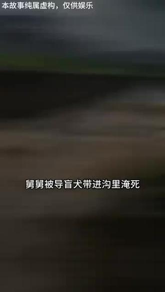 我发誓我没有错