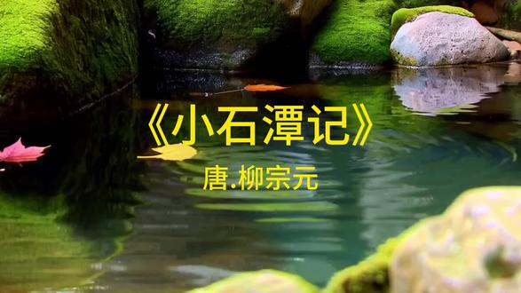 卷石底以出,为坻的坻是什么意思-抖音