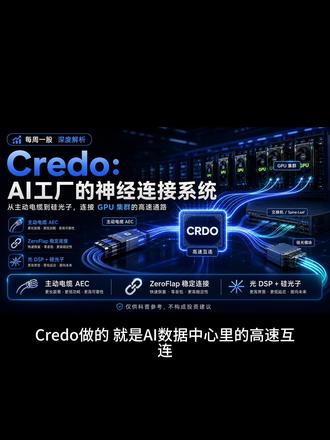 Credo:AI工厂的神经连接系统 #Credo #Crdo #美股 #光纤 #纳斯达克