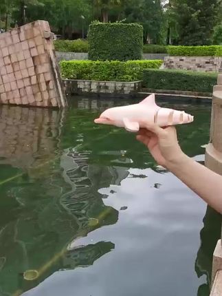 国庆假期不用再去水族馆了,可爱的海豚玩具哪个小朋友能拒绝呀 #海豚玩具 #儿童玩具 #遥控鱼 #好物推荐🔥 #女孩玩具礼物