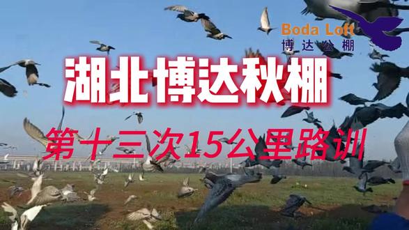 博达秋棚第十三次15公里路训视频